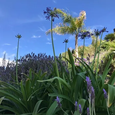 Marisol Beautiful With Oceanview אדחה