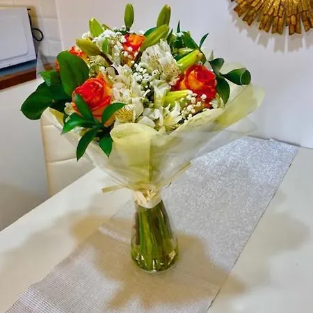 Marisol Beautiful With Oceanview Апартаменты