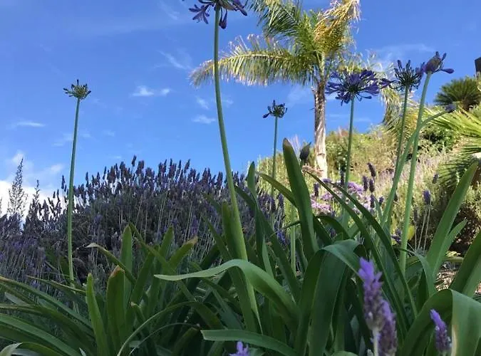 Marisol Beautiful With Oceanview Costa Adeje