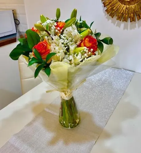 Marisol Beautiful With Oceanview Apartment